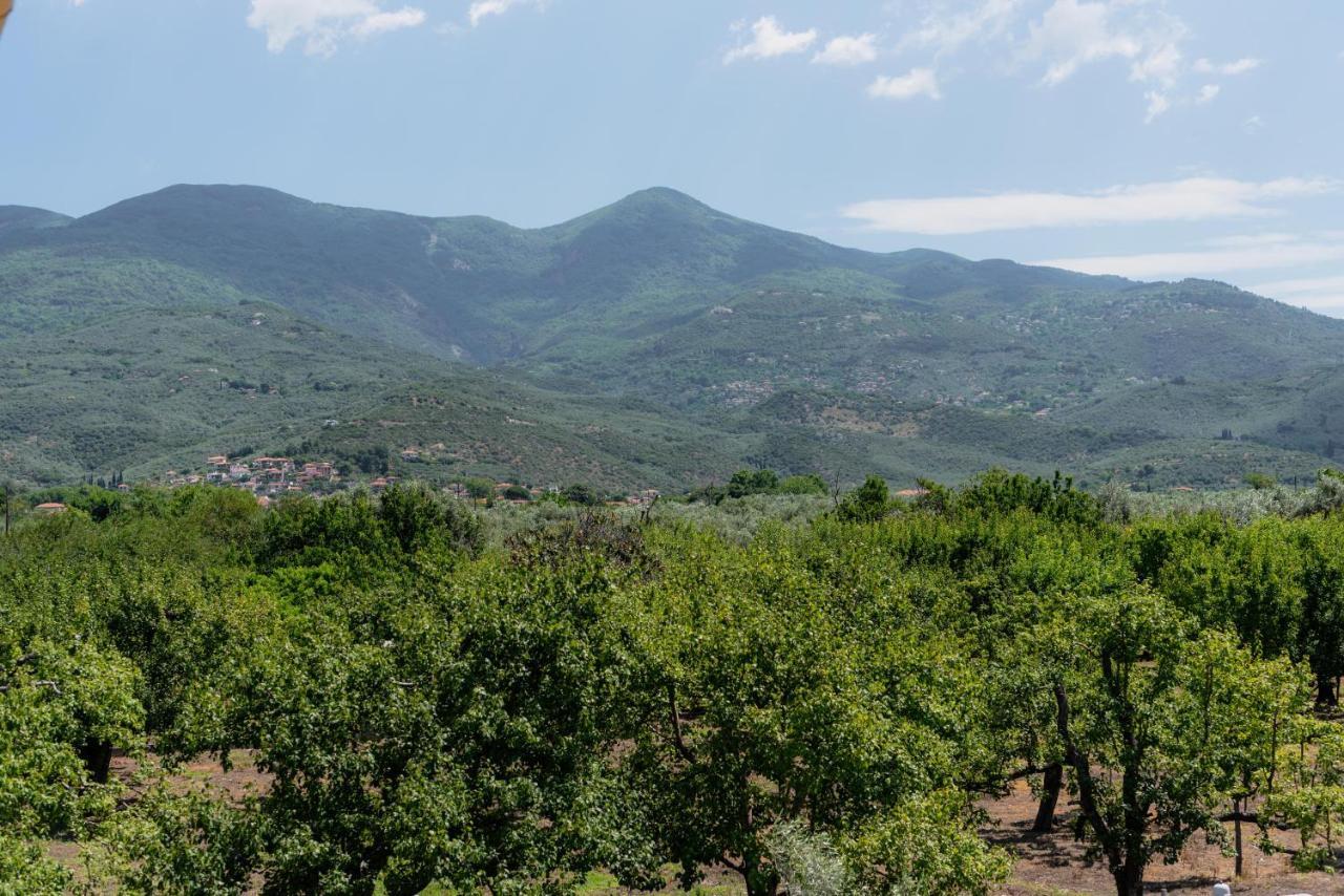 Karavos Grove Vila Káto Lekhónia Exterior foto
